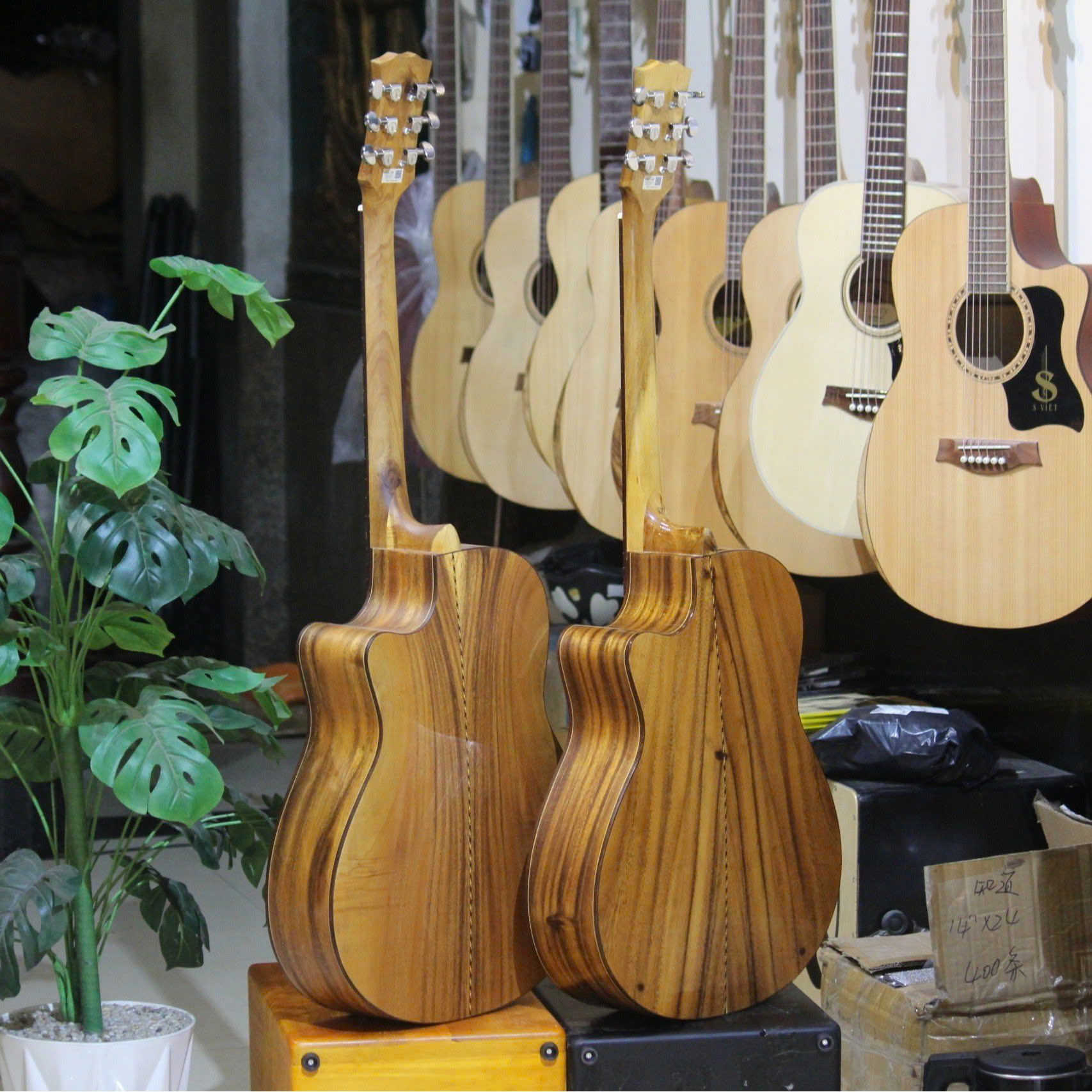 f208204b2f3aa364fa2b